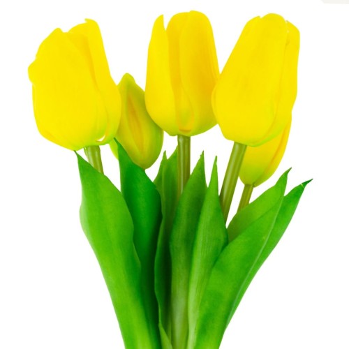 Bukiet tulipanów gumowych Top Gift żółtych 5 szt.