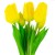 Bukiet tulipanów gumowych Top Gift żółtych 5 szt.
