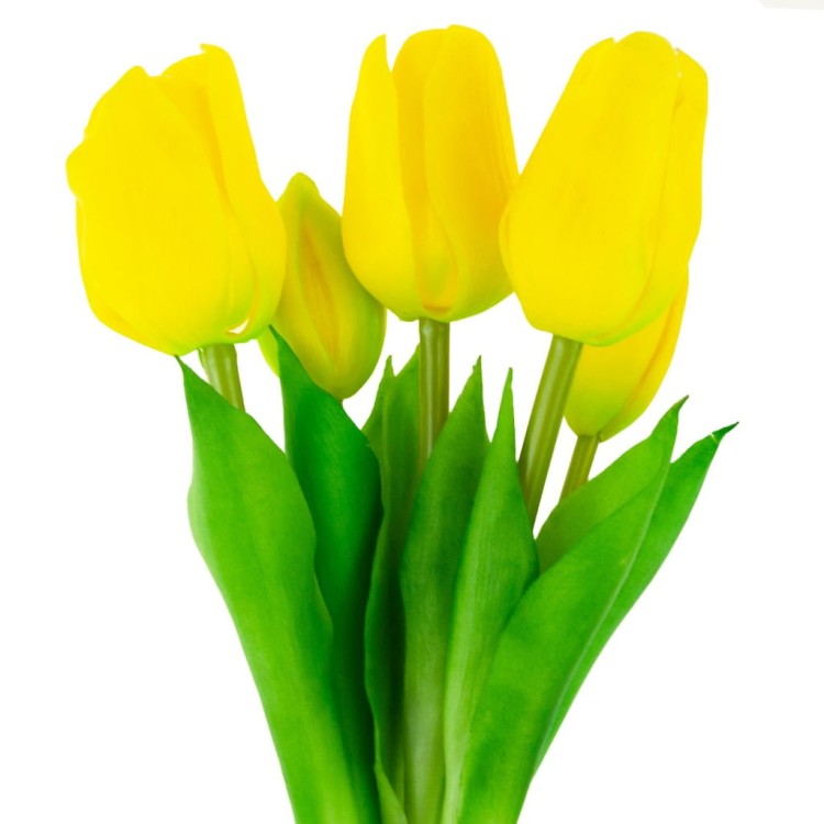Bukiet tulipanów gumowych Top Gift żółtych 5 szt.