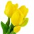 Bukiet tulipanów gumowych Top Gift żółtych 5 szt.