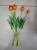 TULIPANY TULIPAN BUKIET 5SZT GUMOWANE POMARAŃCZOWE