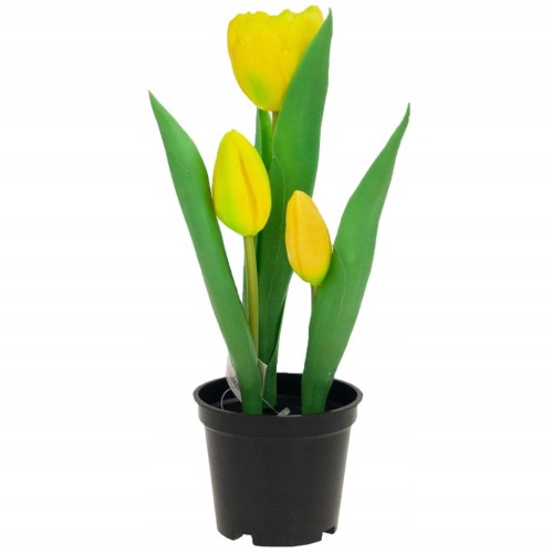 TULIPAN TULIPANY GUMOWANE JAK ŻYWE w doniczce żółte, białe
