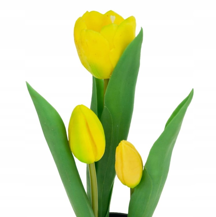 TULIPAN TULIPANY GUMOWANE JAK ŻYWE w doniczce żółte, białe