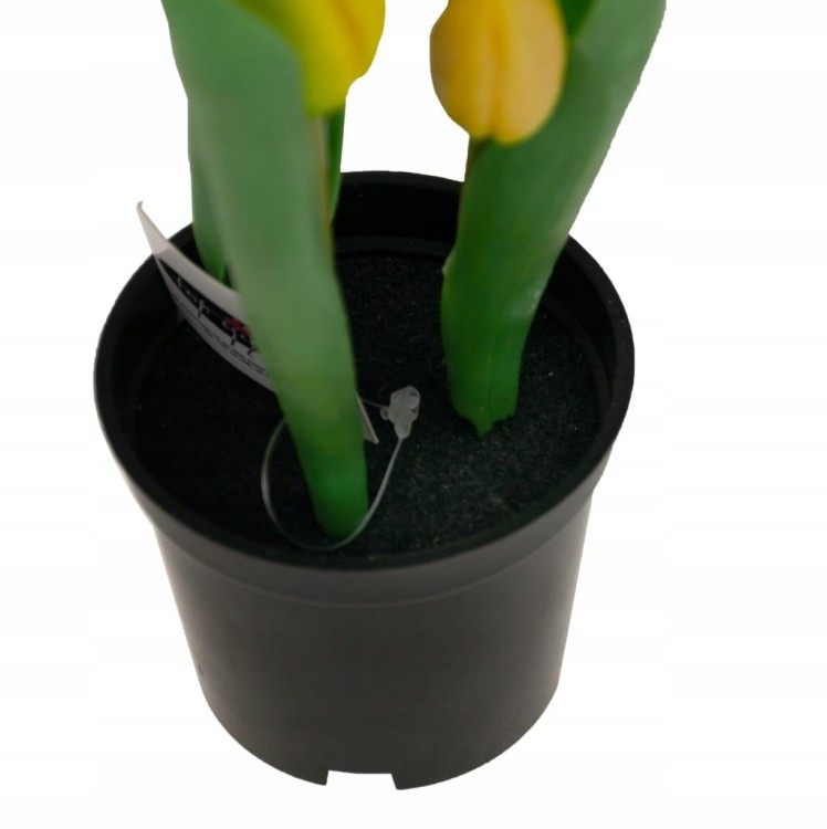 TULIPAN TULIPANY GUMOWANE JAK ŻYWE w doniczce żółte, białe