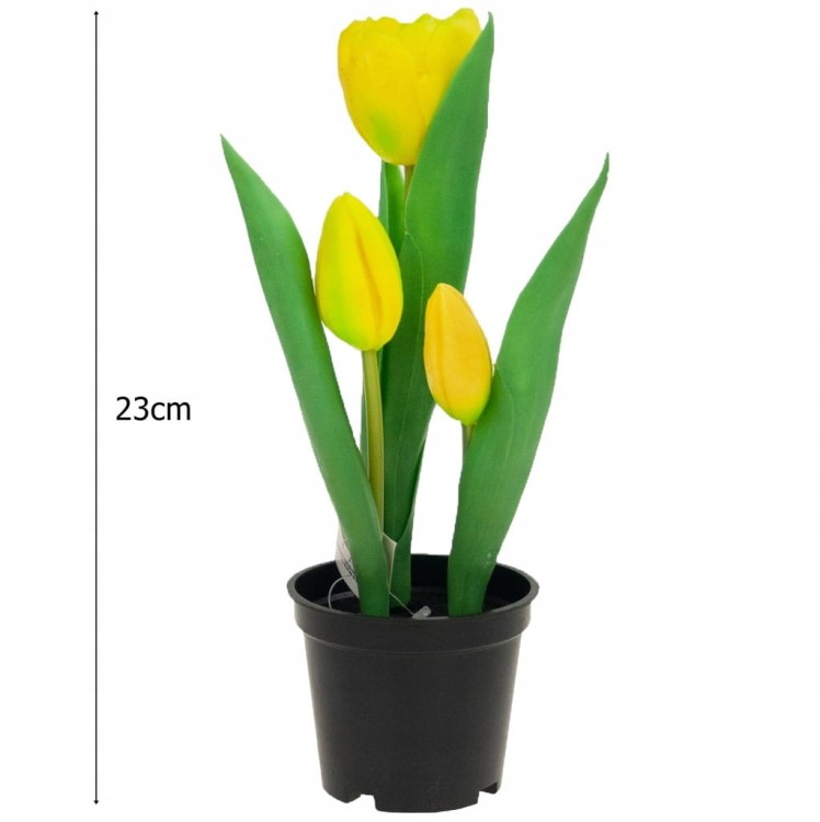 TULIPAN TULIPANY GUMOWANE JAK ŻYWE w doniczce żółte, białe