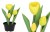 TULIPAN TULIPANY GUMOWANE JAK ŻYWE w doniczce żółte, białe