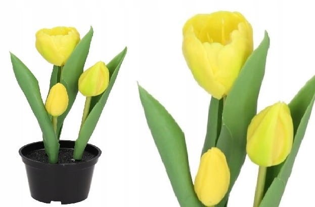 TULIPAN TULIPANY GUMOWANE JAK ŻYWE w doniczce żółte, białe