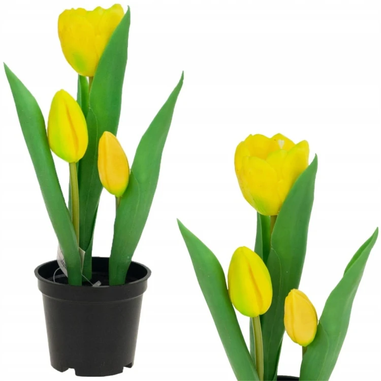 TULIPAN TULIPANY GUMOWANE JAK ŻYWE w doniczce żółte, białe