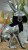 d77b22c7-f4d3-4467-89ba-2d37139a614a.jpeg