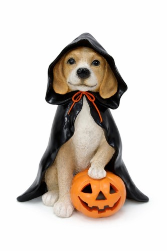 Figurka Beagle w pelerynie z dynią – wyjątkowa dekoracja na Halloween