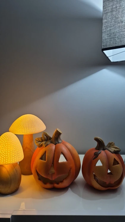 90412962-79cf-43f9-8ed4-34d0cf8124c5.JPG