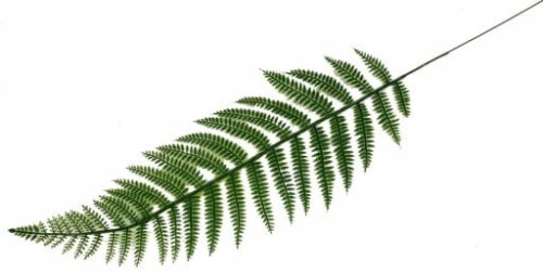 0a5b11dc3f15304ce5fdcefba9cfb2f0