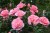 502a0a9545a2df11ac56898b6eed191c