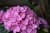 50f3761c3b1134edb1e8945b04d16ab6