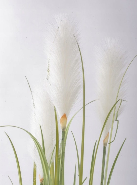 Trawa dekoracyjna w doniczce z białymi piórami 122cm - elegancka dekoracja