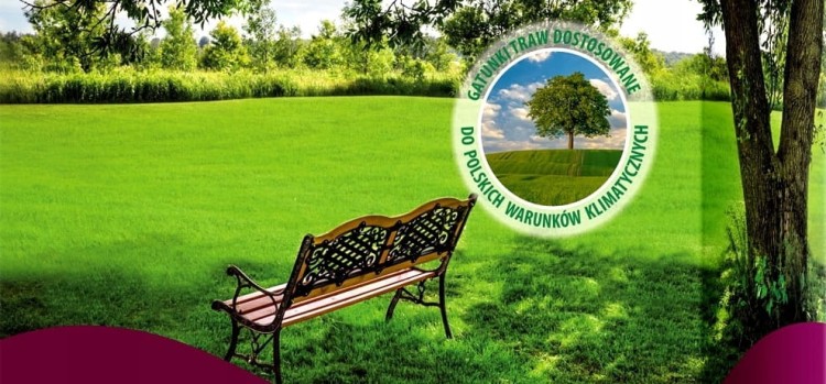 Trawa dekoracyjna Biopon 40 m² 1 kg