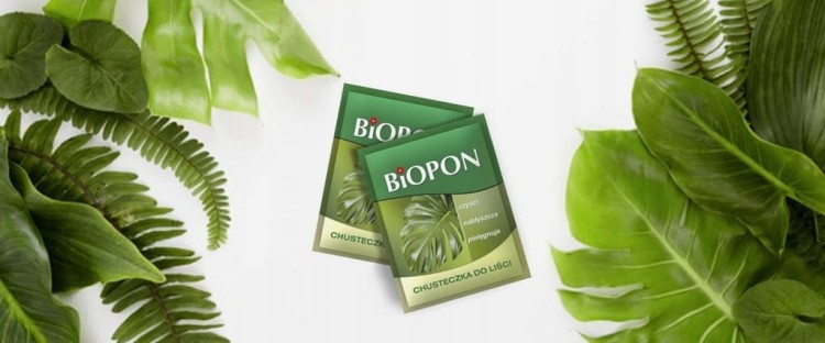 BIOPON Chusteczka do liści 1 sztuka