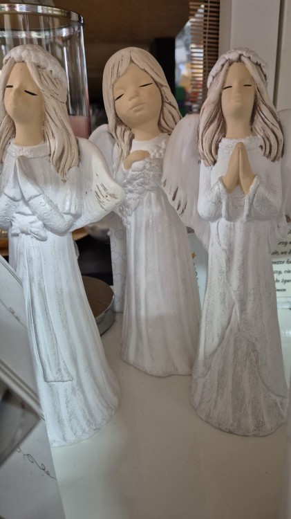 b6795bdb-07fa-4e42-bb67-bfee1d39f2da.JPG